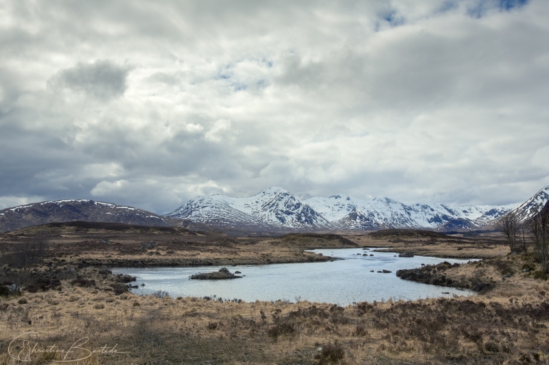 Ecosse