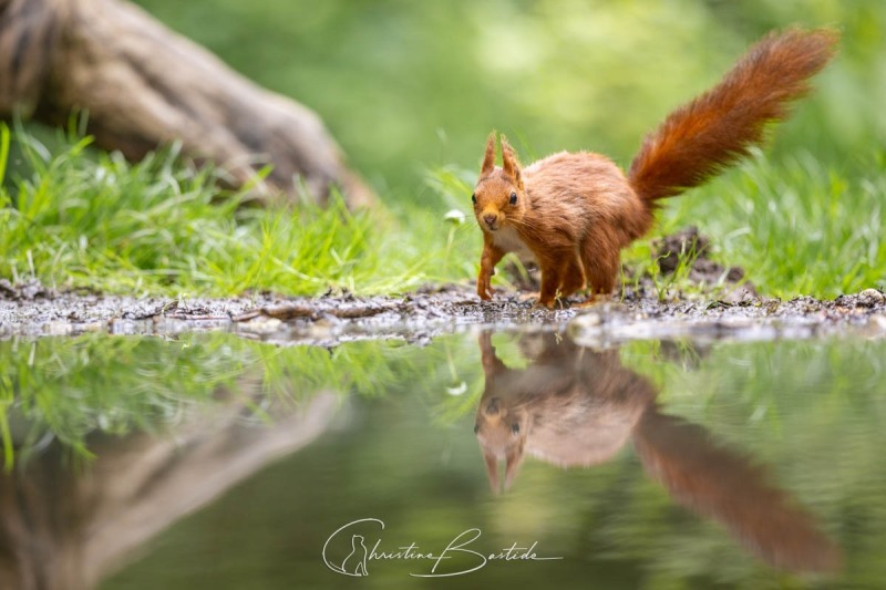 Sur le bord