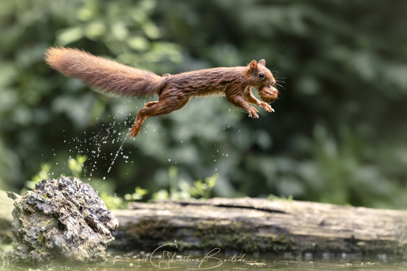 Le saut 