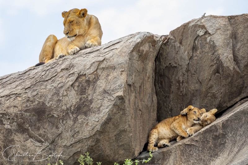 Famille