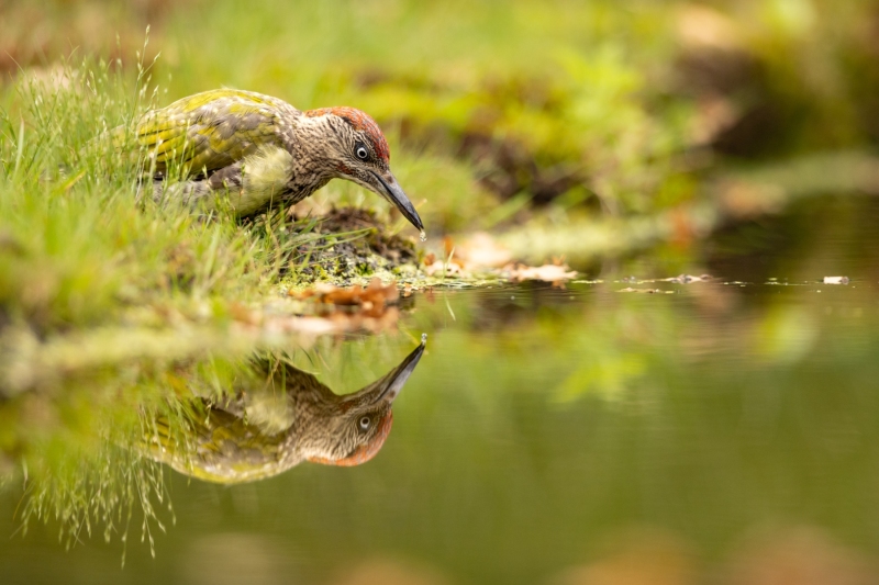 Christine-Bastide-20
